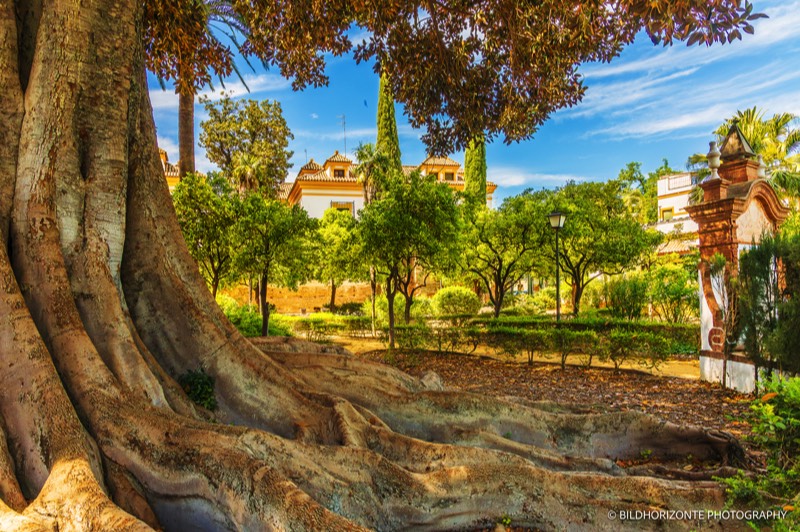 A short description about the picture goes here